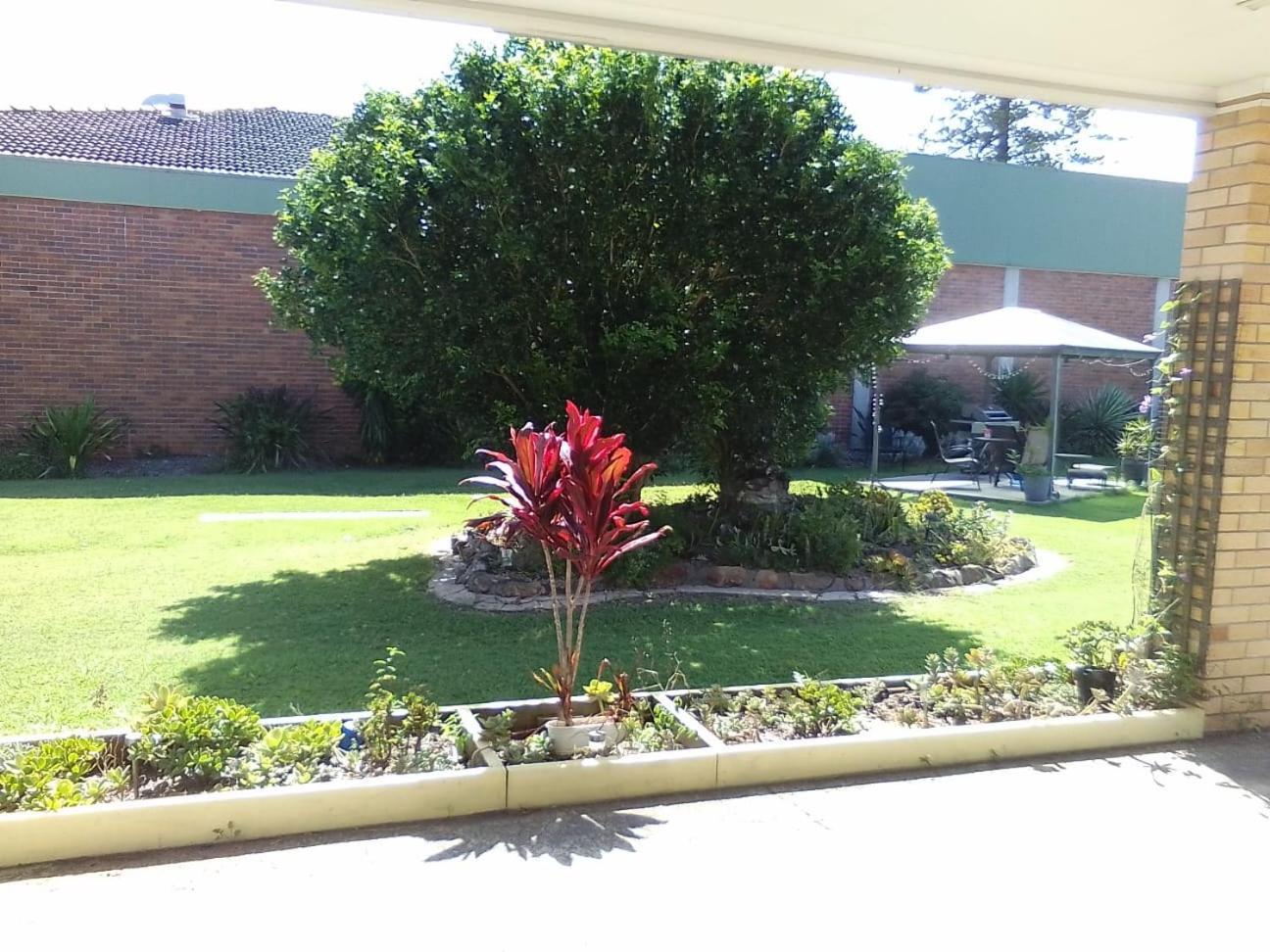 Forster And Wallis Lake Motel Bagian luar foto
